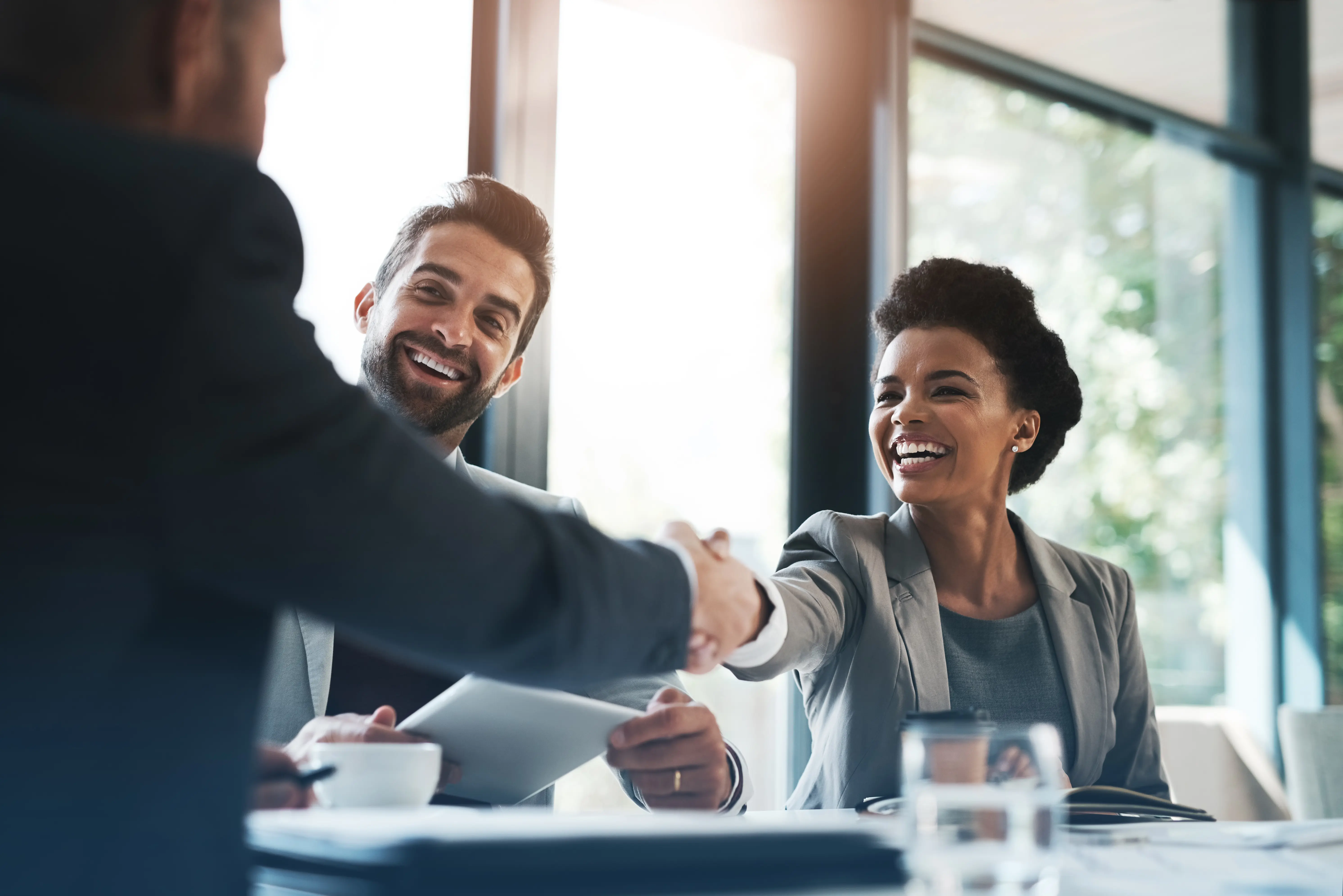 Business partnership meeting