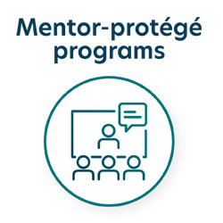 Mentor-protégé programs